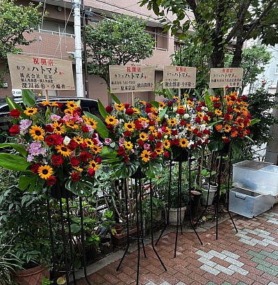 開店のお花